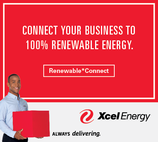 Xcel Energy 